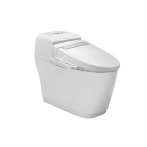 Bồn cầu một khối INAX AC-1032+CW-H20VN