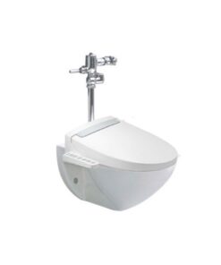 Bồn cầu treo tường INAX AC-952+CW-H20VN