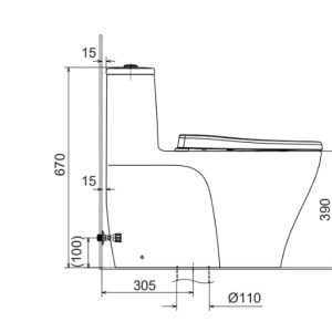 Bồn cầu một khối INAX AC-989+CW-KB22AVN