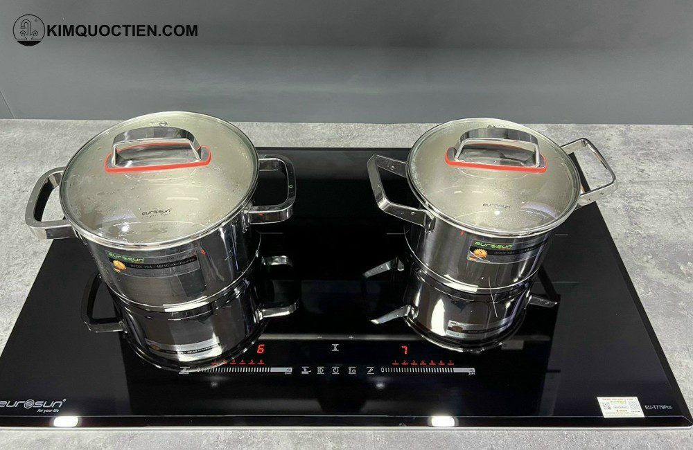 Bếp từ đôi EUROSUN EU-T256Max