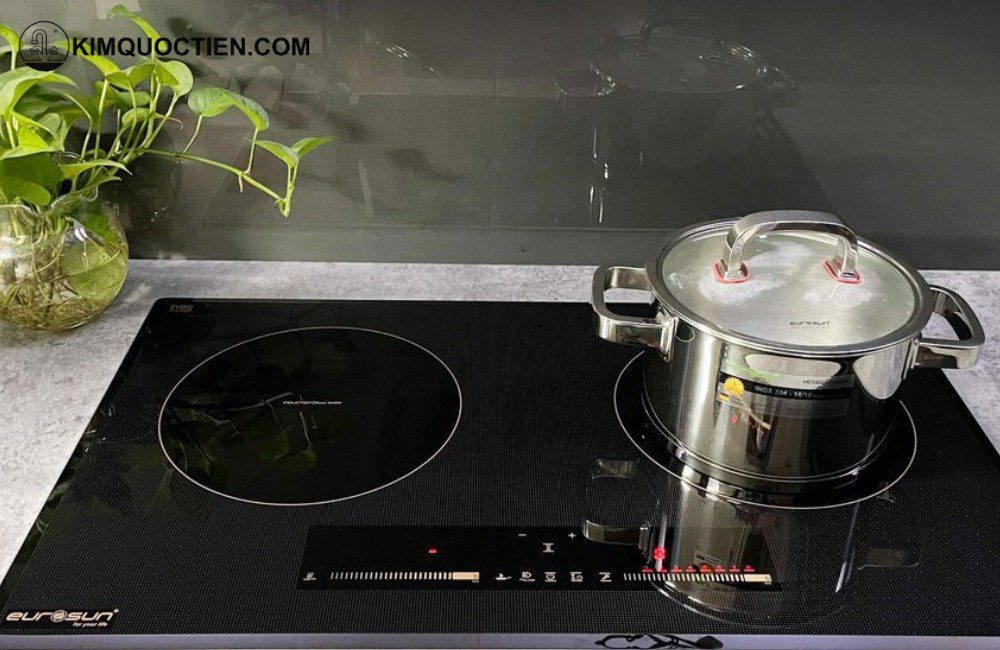 Bếp từ Eurosun EU-T779Pro 2