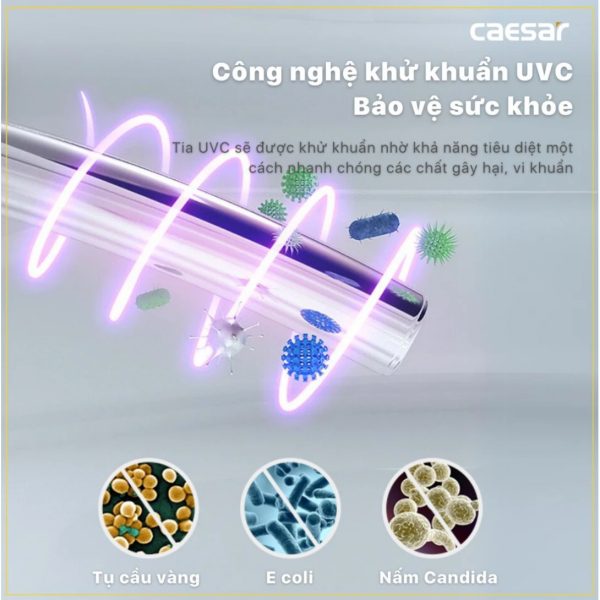 Bồn cầu 1 khối nắp điện tử Caesar C1353F/TAF610H