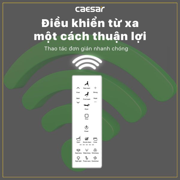 Bồn cầu 1 khối nắp điện tử Caesar C1363F/TAF512H