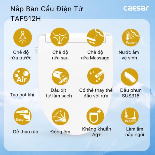 Bồn cầu 1 khối nắp điện tử Caesar C1374F/TAF512H