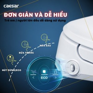 Bồn cầu 1 khối nắp điện tử Caesar C1391F/TAF710H