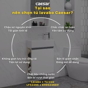 Tủ lavabo Caesar EH05239AV